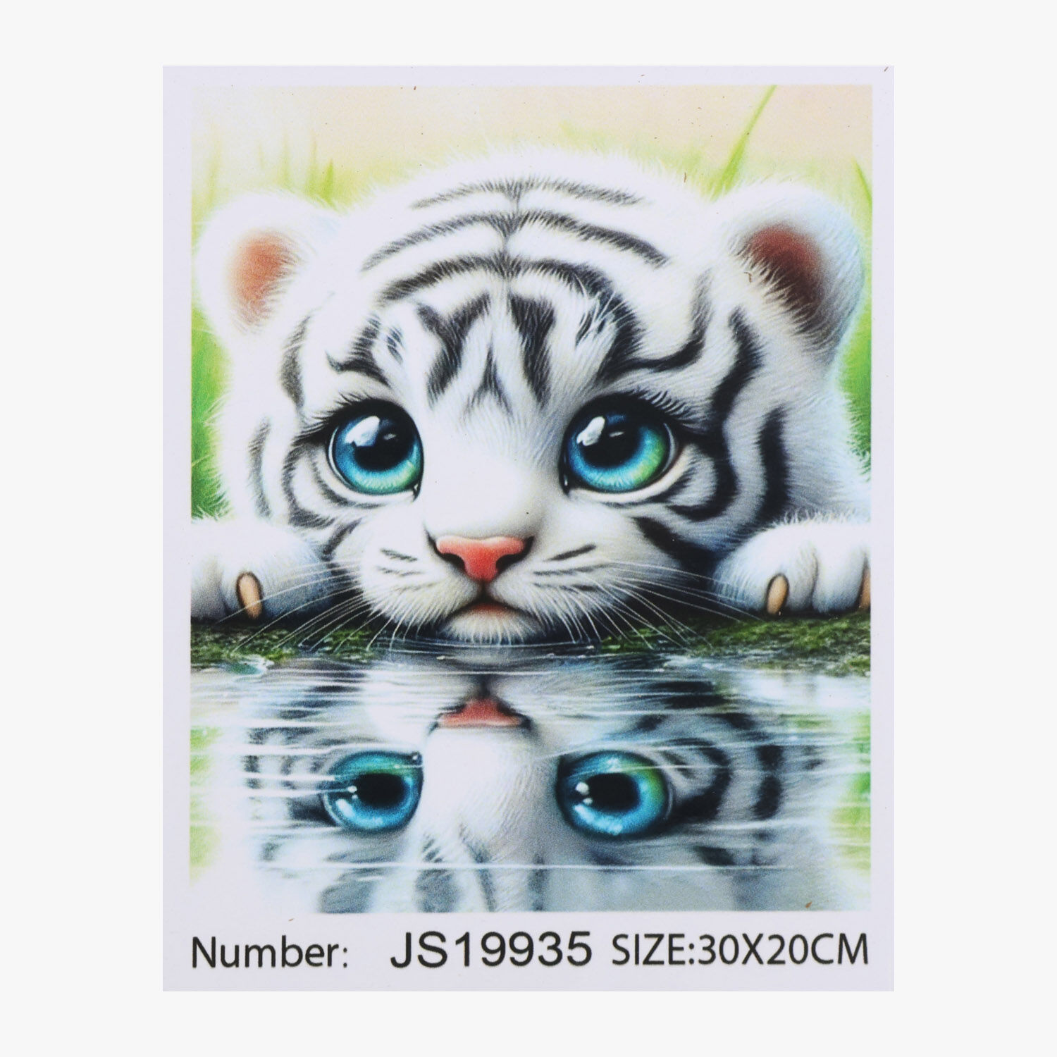 Алмазна мозаїка JS 19935 (50) 
