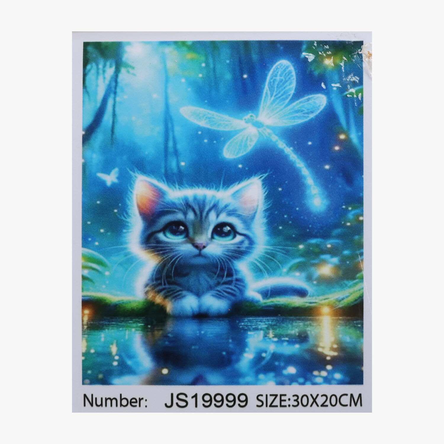 Алмазна мозаїка JS 19999 (50) 