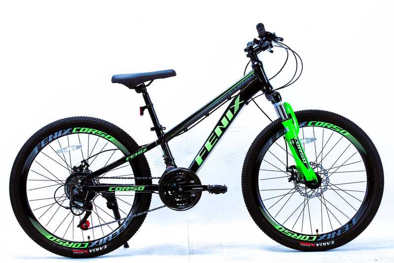 Велосипед Спортивний Corso 24" дюймів «Fenix» FX-24819  