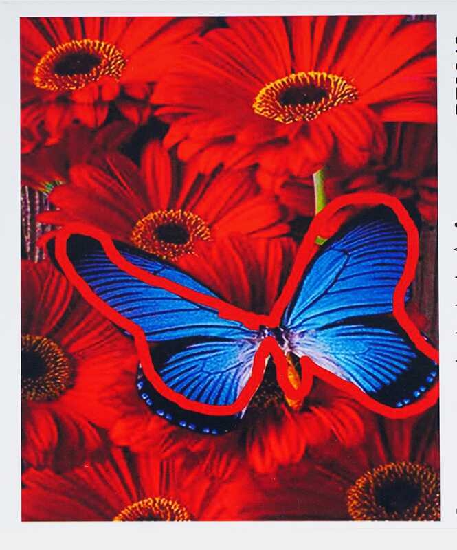 Картина за номерами + Алмазна мозаїка B 78640 (30) "TK Group", 40х50 см, “Метелик”, У ПАКЕТІ