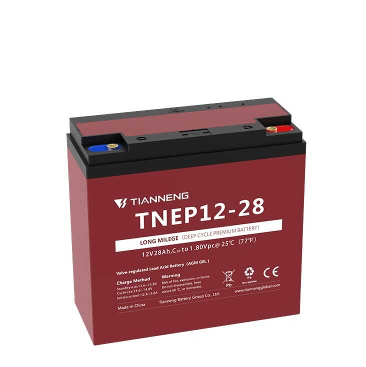 Аккумулятор свинцево-кислотний TNE P12-28 (TNE-72V-CL28) (1) напруга 12V28Ah