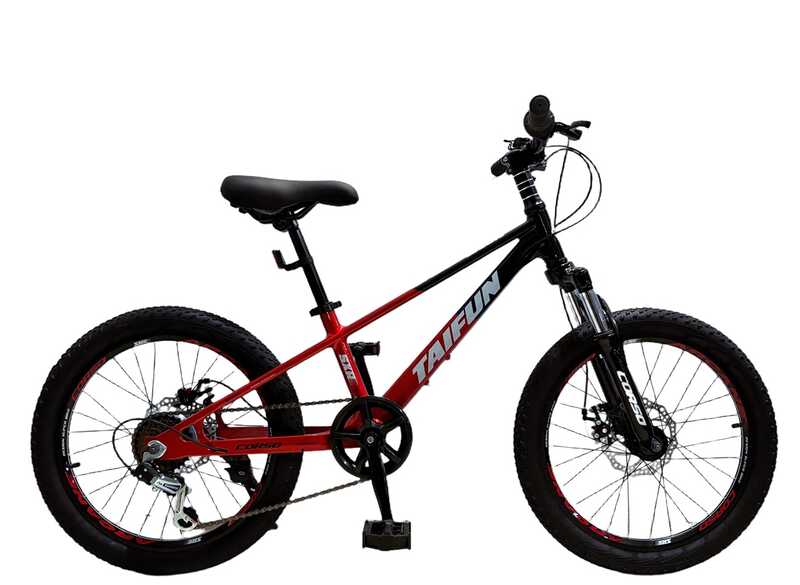 Дитячий спортивний велосипед 20" дюймів Corso «Taifun» TF-91473  